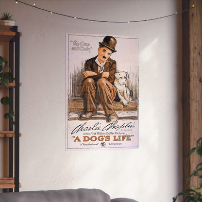 Poster of Charlie Chaplin and a dog on a wall in a room with a shelf and plants.