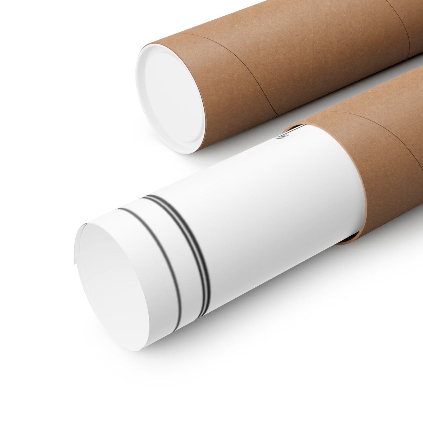 Two cardboard tubes, one white and one brown, on a white background